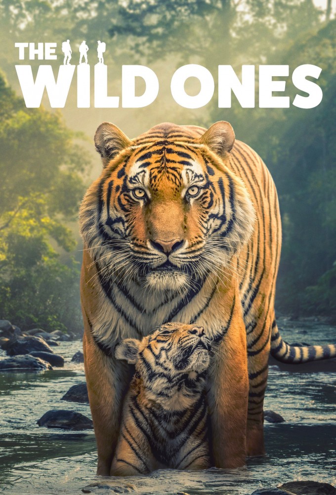 The Wild Ones S01