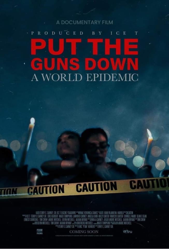 Put the Guns Down: A World Epidemic (2025)