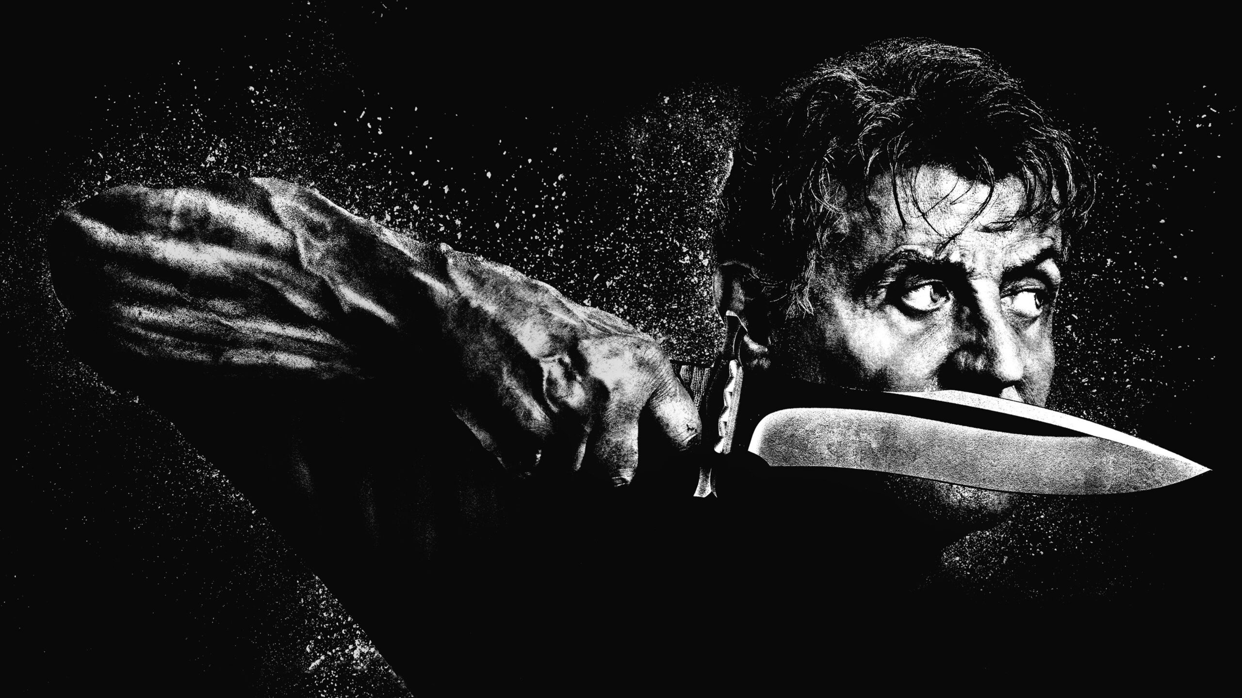 Rambo: Last Blood (2019) 1