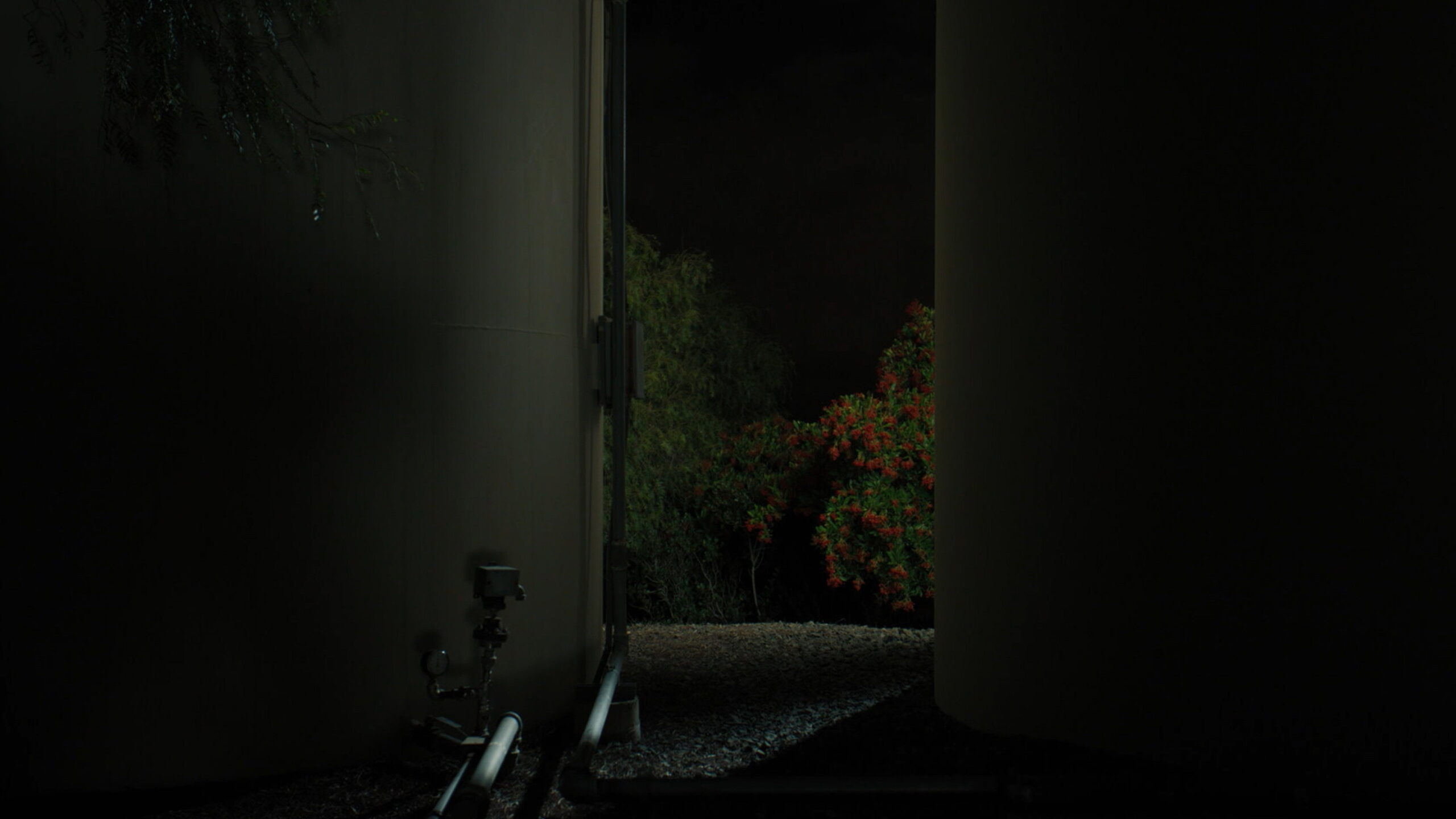 Tomorrow, You Pretty Ghost (2026) 1080P - 540P 1